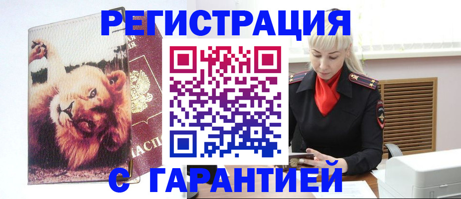 прописка от собственника в Тайге